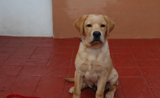 yago con 5 meses yago con 5 meses